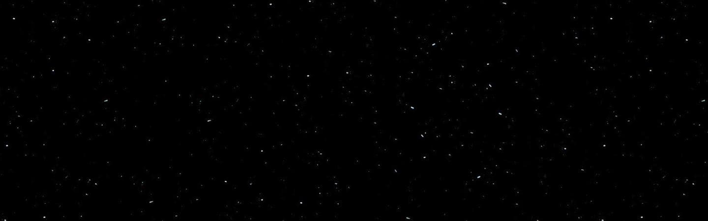 Perna Black (P004)